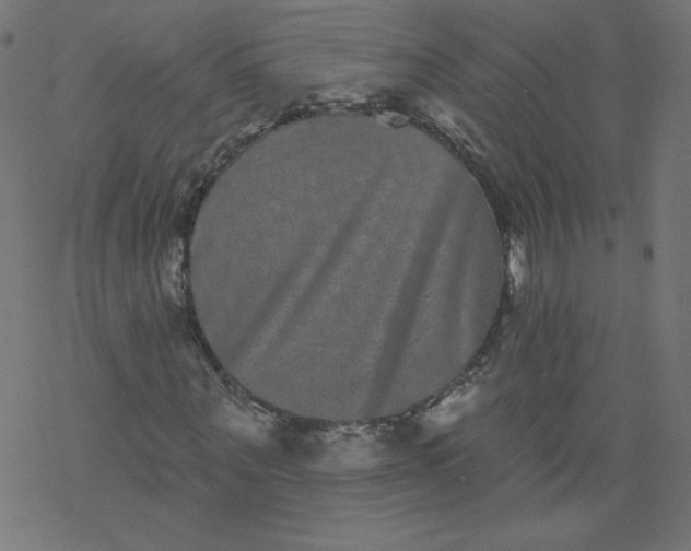 X0000077350867200611031819