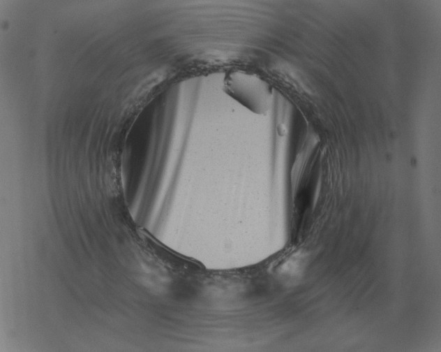 X0000077350868200611031819