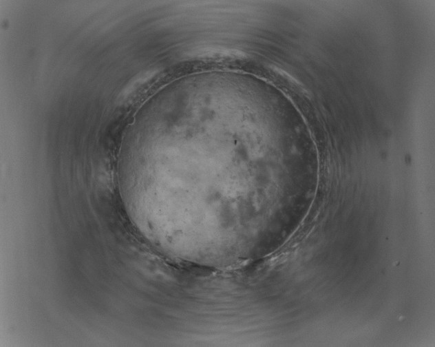 X0000077350869200611031819