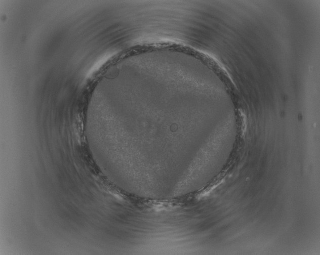 X0000077350871200611031818