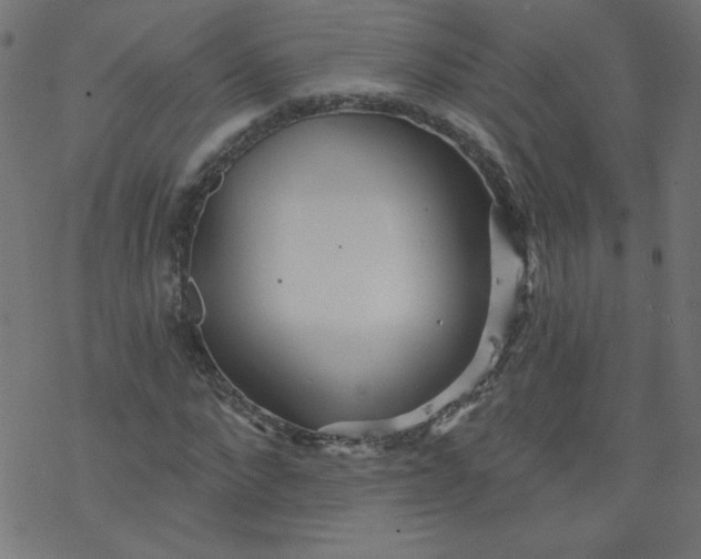 X0000077350872200611031818