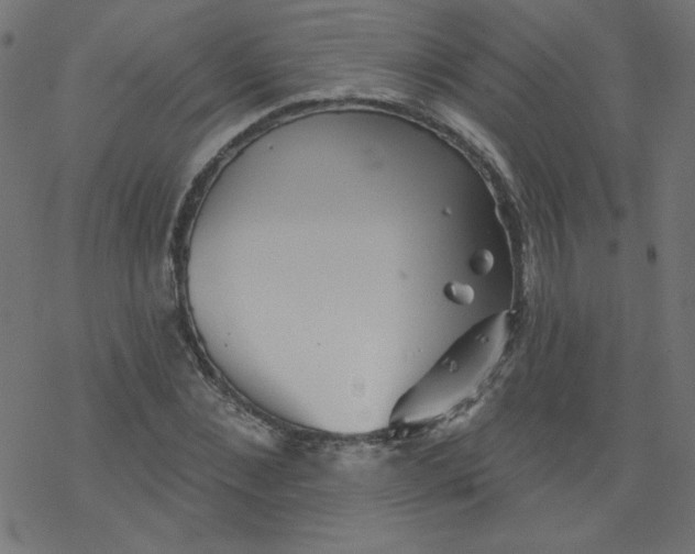 X0000077350876200611031818