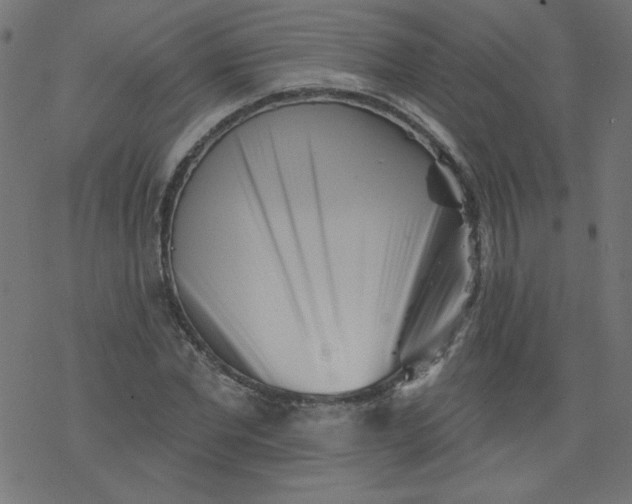 X0000077350877200611031818