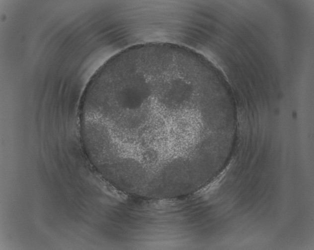 X0000077350879200611031818