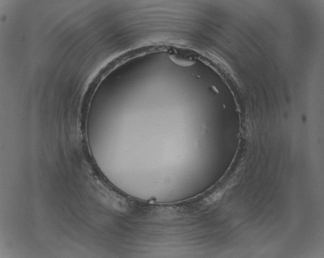 X0000077350880200611031818