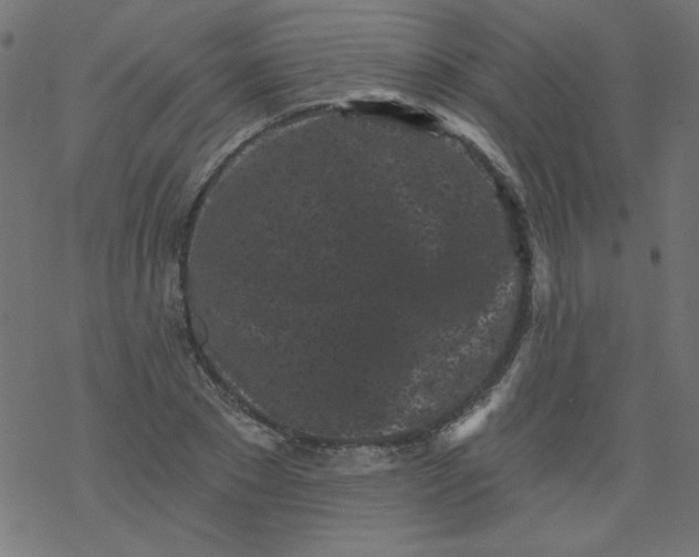 X0000077350881200611031818