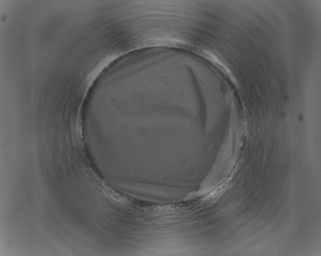 X0000077350883200611031818