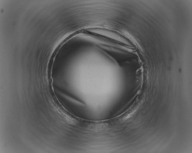 X0000077350884200611031818