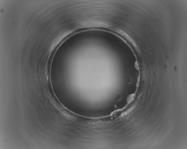 X0000077350885200611031818