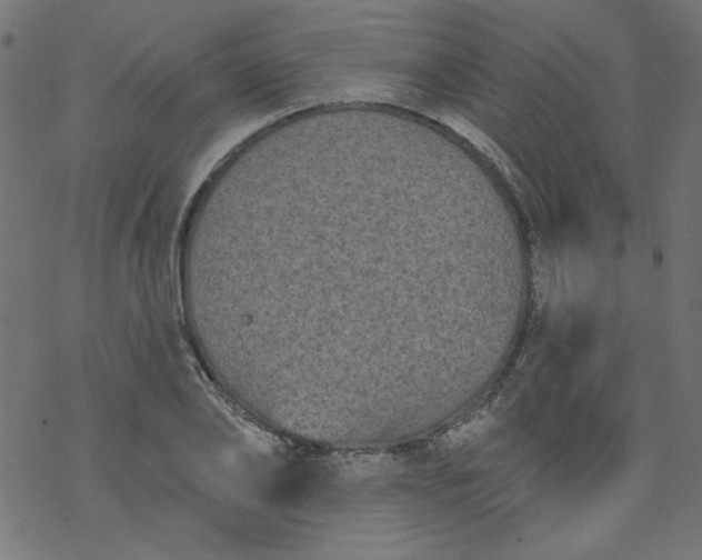 X0000077350886200611031818