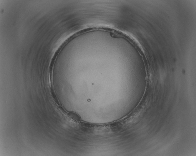 X0000077350887200611031818