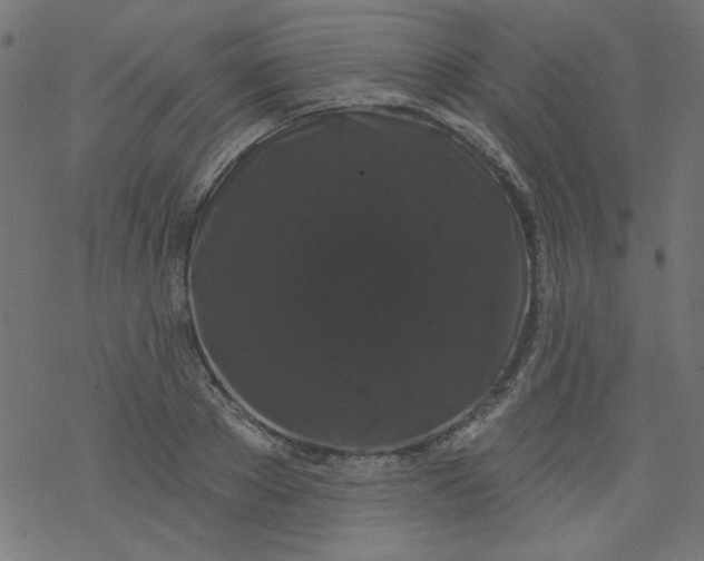 X0000077350889200611031818