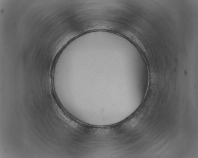 X0000077350890200611031818