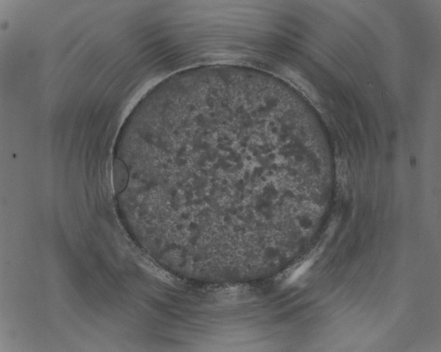 X0000077350891200611031818