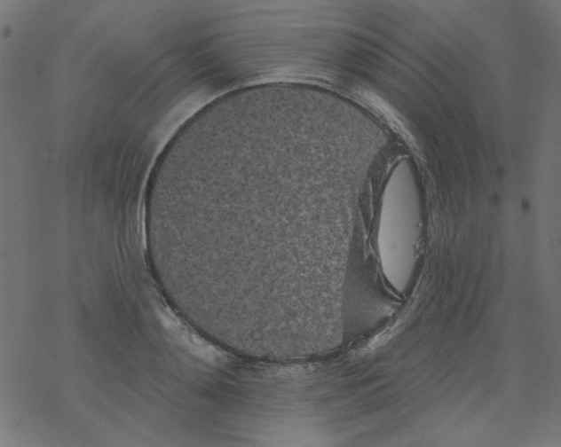 X0000077350892200611031818