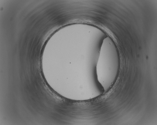 X0000077350896200611031818