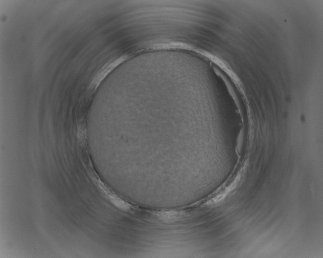 X0000077350897200611031818