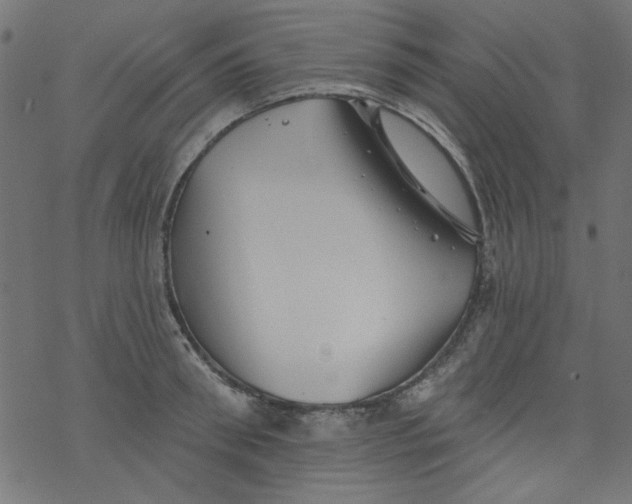 X0000077350898200611031818