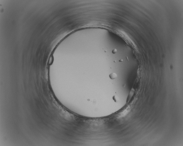 X0000077350900200611031818