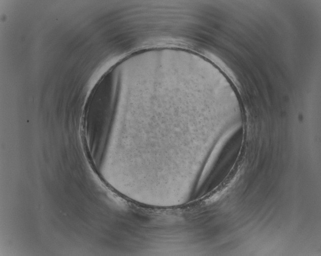 X0000077350901200611031818