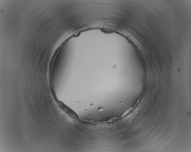 X0000077350902200611031818