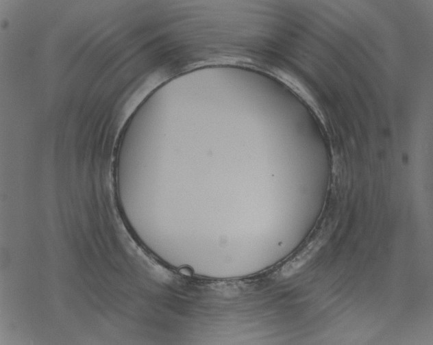 X0000077350906200611031818