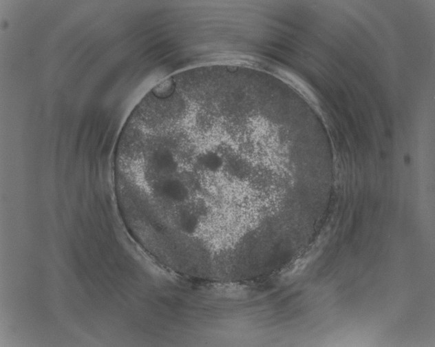 X0000077350907200611031818