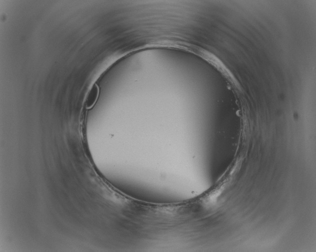 X0000077350908200611031818