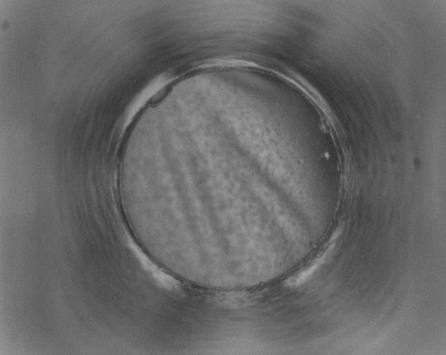 X0000077350909200611031818