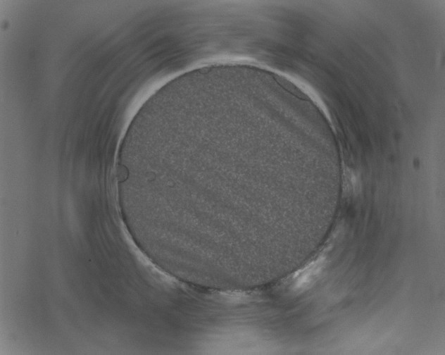 X0000077350911200611031818