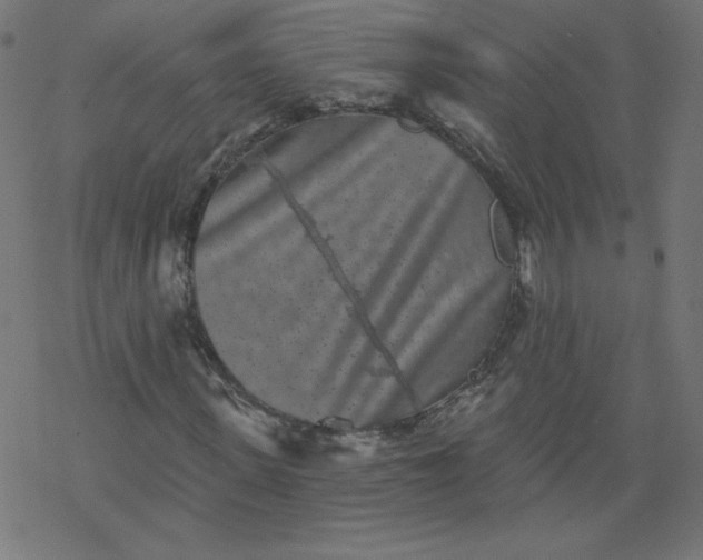 X0000077350915200611031817