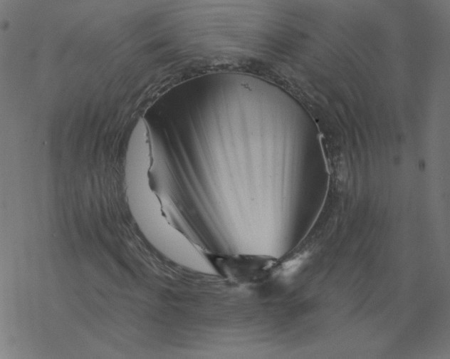 X0000077350916200611031817