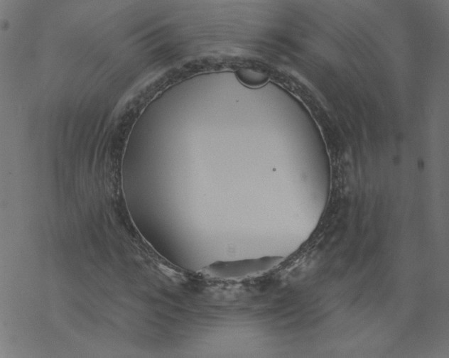 X0000077350919200611031817