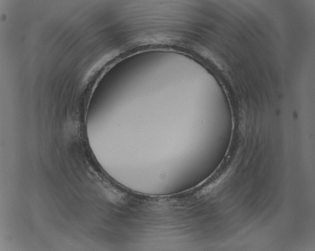 X0000077350922200611031817