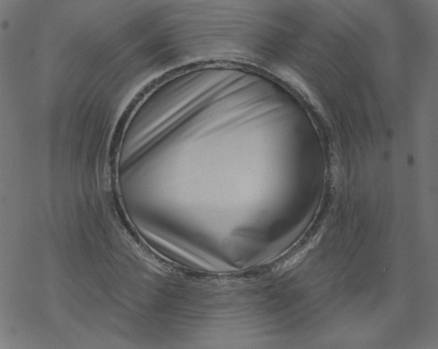 X0000077350924200611031817