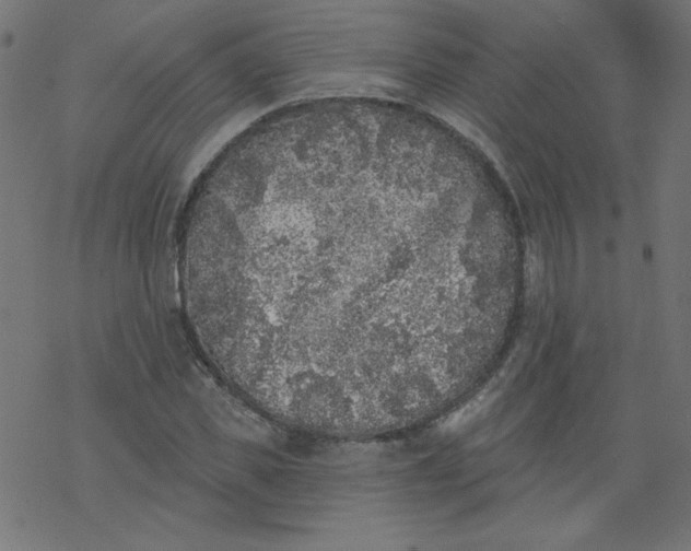 X0000077350925200611031817