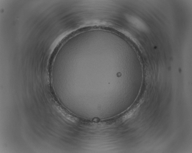 X0000077350927200611031817