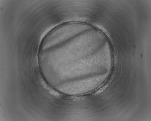 X0000077350928200611031817