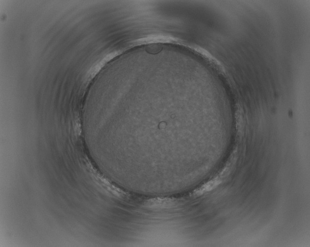 X0000077350929200611031817