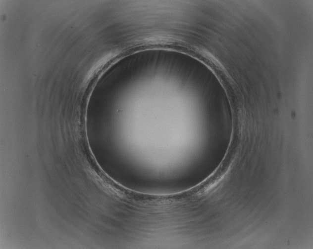 X0000077350930200611031817