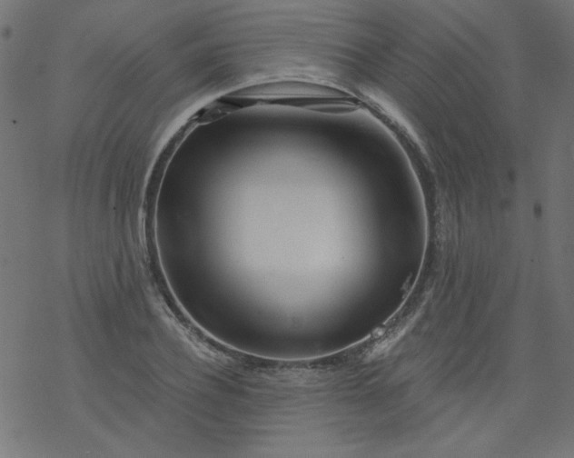 X0000077350932200611031817