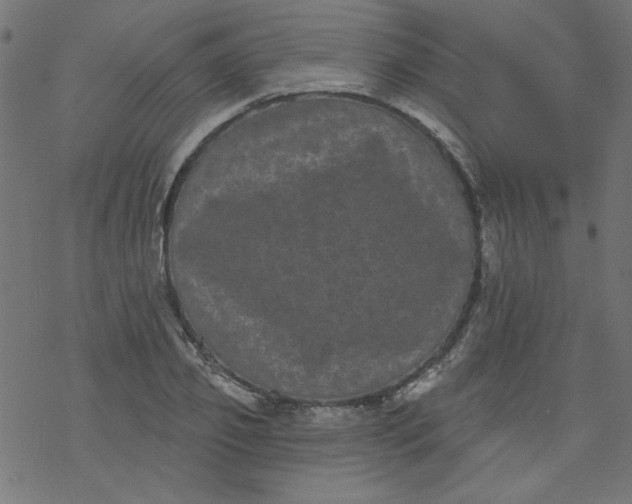 X0000077350933200611031817