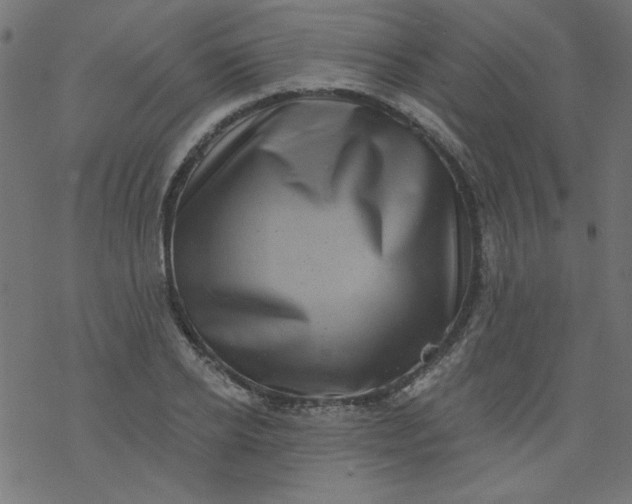 X0000077350934200611031817