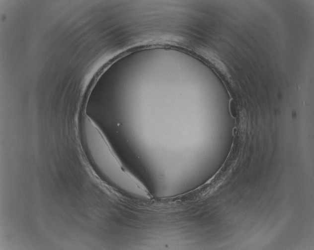 X0000077350936200611031817