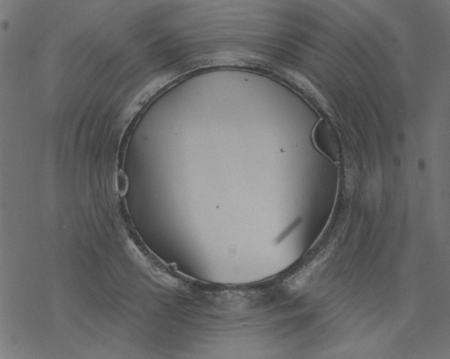 X0000077350938200611031817