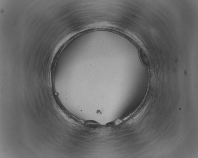 X0000077350939200611031817