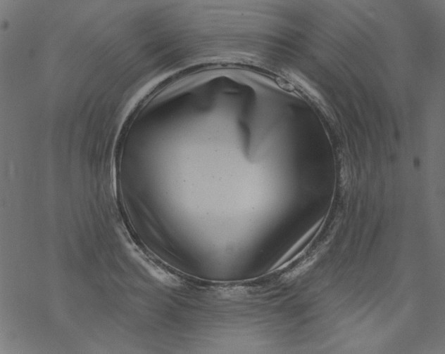 X0000077350940200611031817