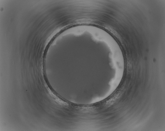 X0000077350941200611031817