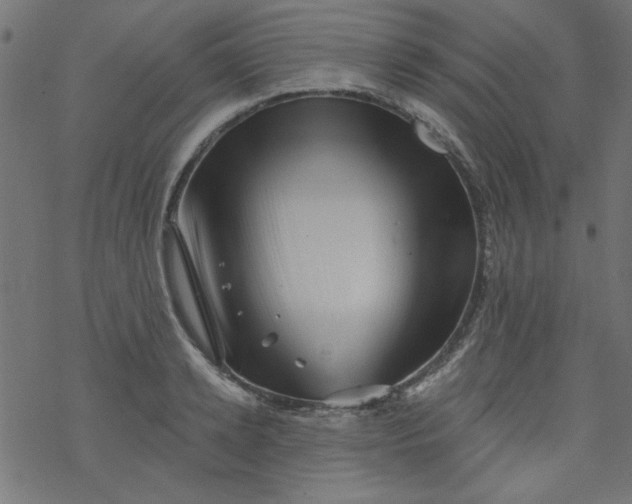 X0000077350942200611031817