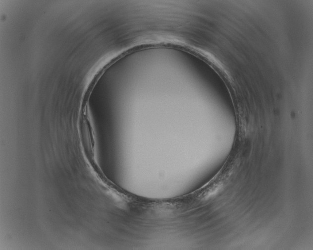 X0000077350943200611031818